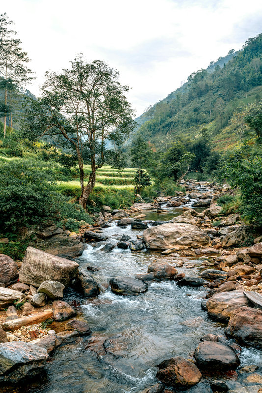 實(shí)驗(yàn)室色度測(cè)定儀